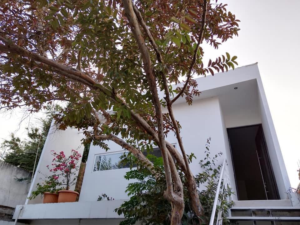 Casa Mango Amplia Con Alberca Y Cerca De La Media Luna !!! Río Verde Eksteriør bilde